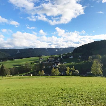 Ferienhaus Robin Titisee-Neustadt Kültér fotó