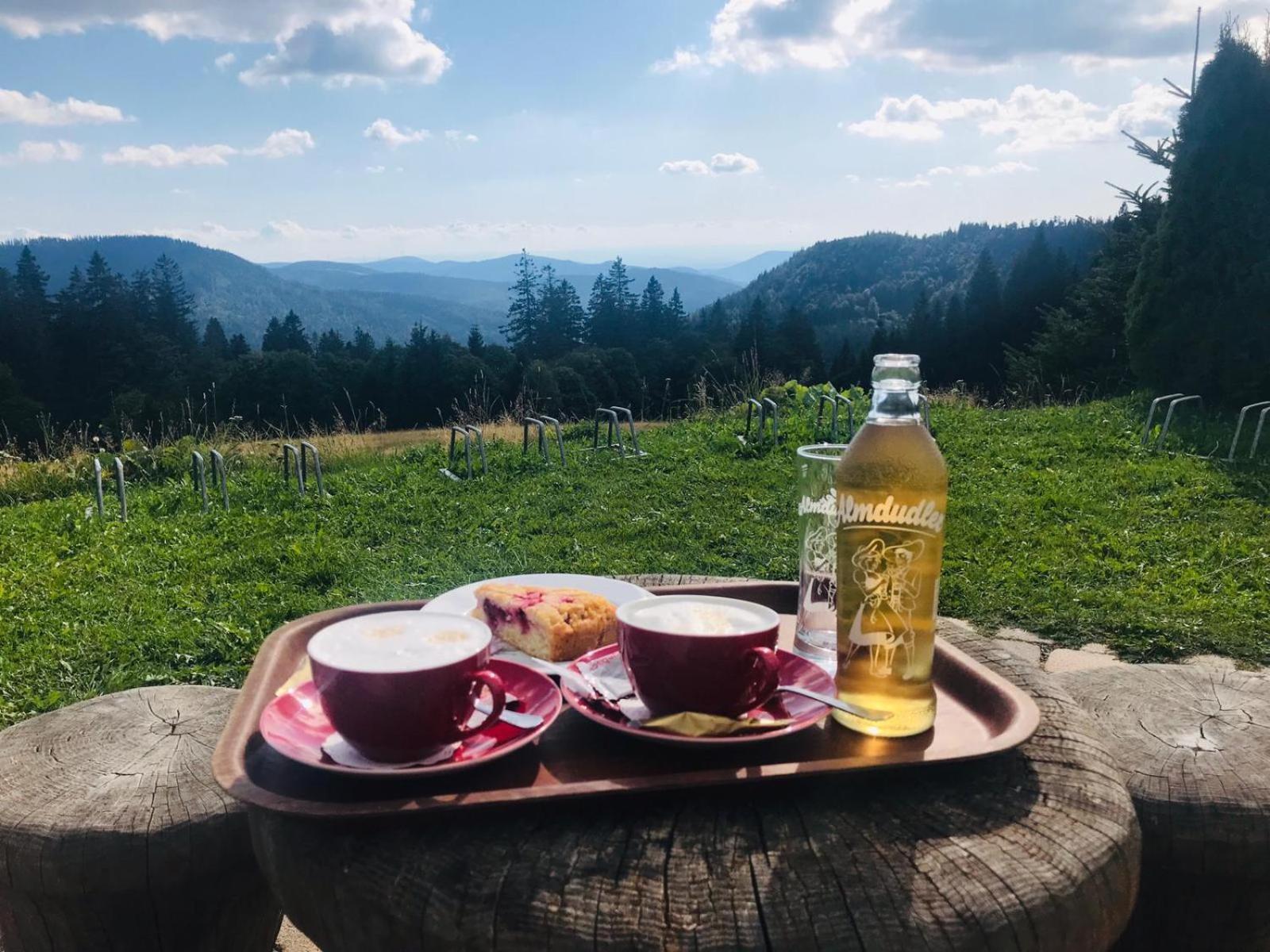 Ferienhaus Robin Titisee-Neustadt Kültér fotó