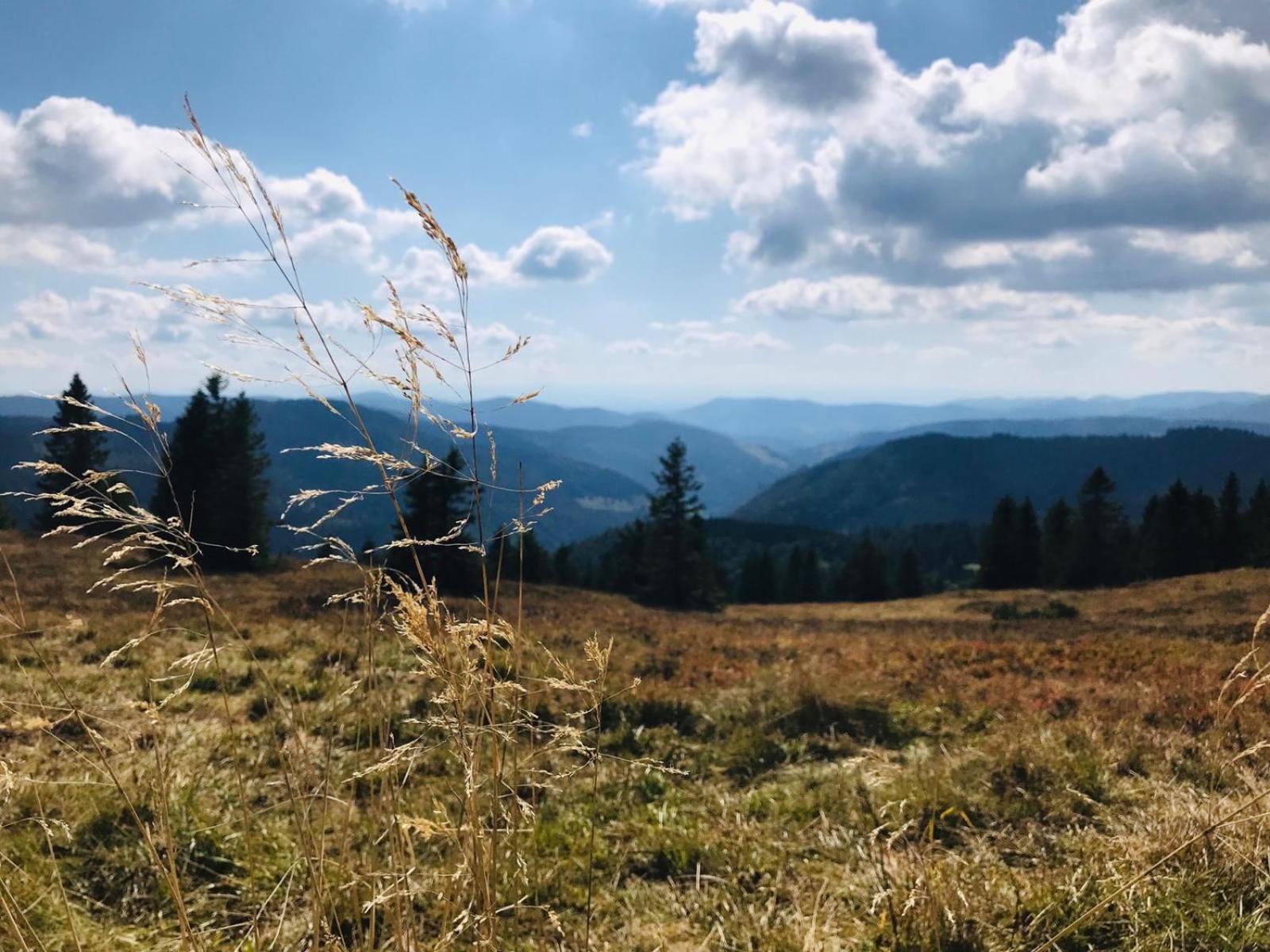 Ferienhaus Robin Titisee-Neustadt Kültér fotó