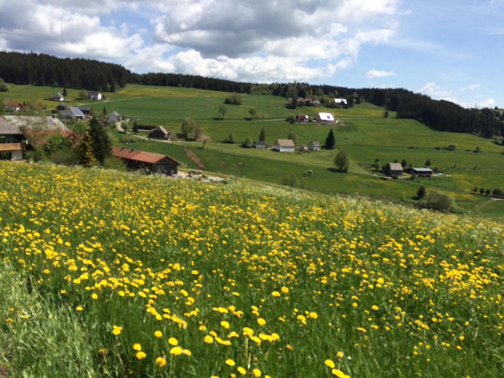 Ferienhaus Robin Titisee-Neustadt Kültér fotó